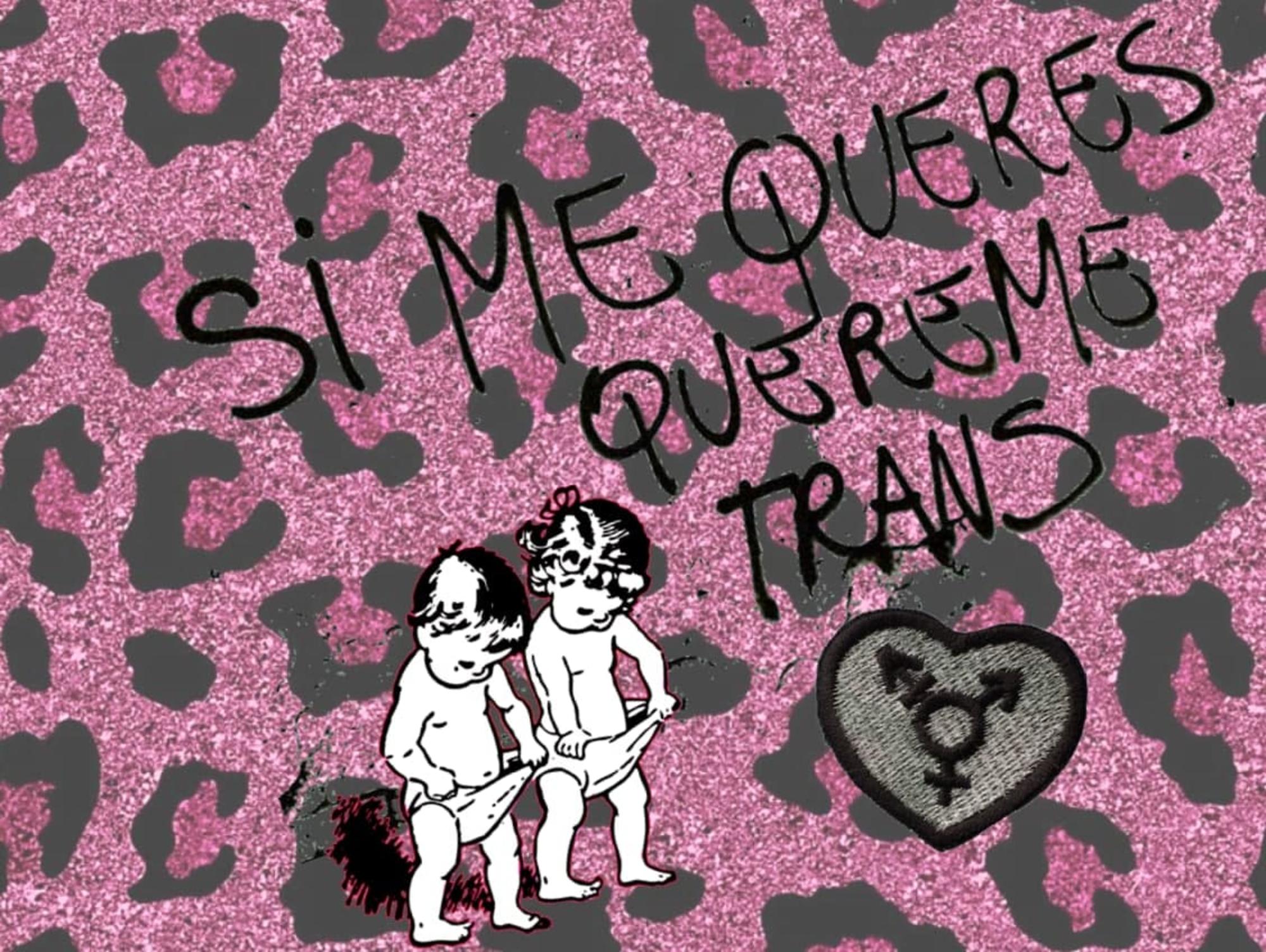 Si me quieres, quereme trans